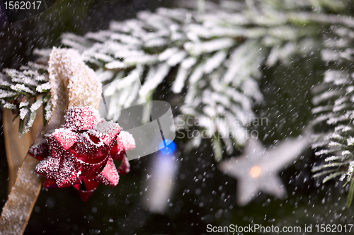 Image of Christmas decoration