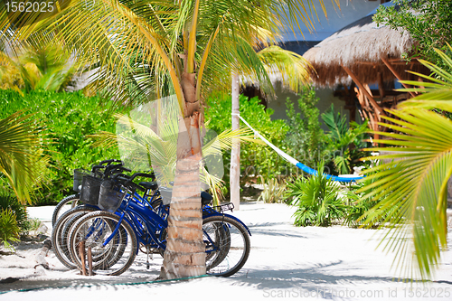 Image of Bicycles at tropics