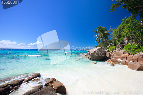 Image of Idyllic beach in Seychelles