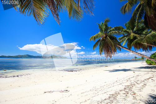 Image of Perfect beach in Seychelles