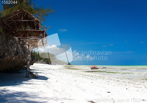 Image of Tropical beach