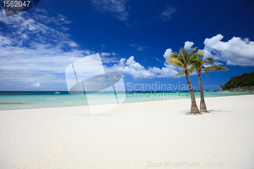 Image of Perfect beach