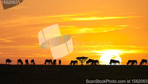 Image of African sunrise