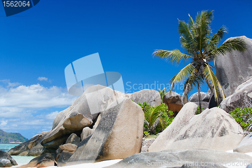 Image of Anse Source d'Argent beach