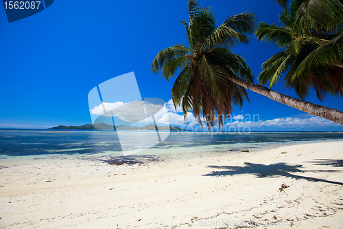 Image of Perfect beach in Seychelles