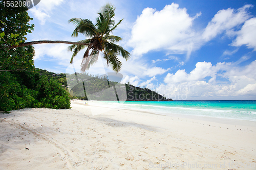 Image of Idyllic tropical beach