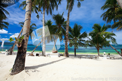 Image of Tropical Resort