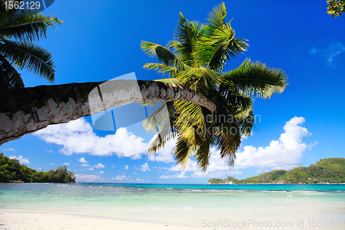 Image of Perfect beach in Seychelles