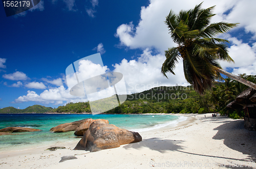 Image of Idyllic tropical beach