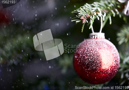 Image of Christmas decoration