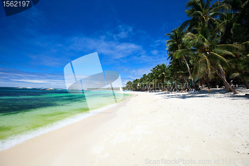 Image of Landscape of beautiful beach