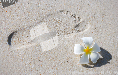 Image of Footprint on white sand