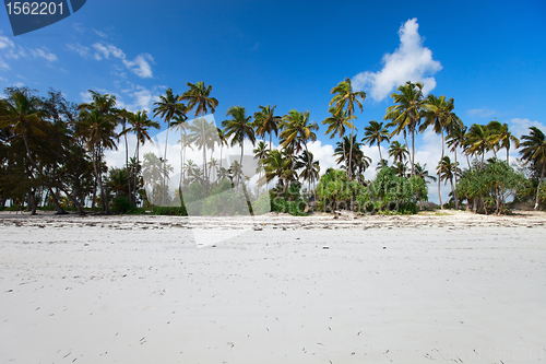 Image of Tropical beach