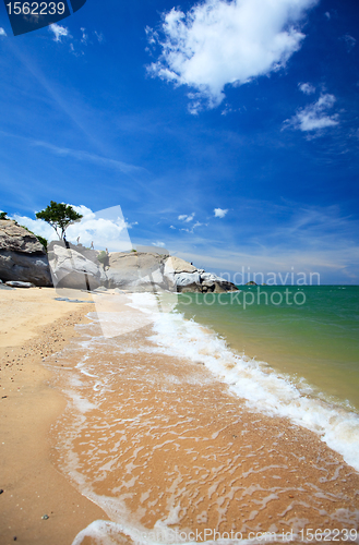 Image of Tropical beach