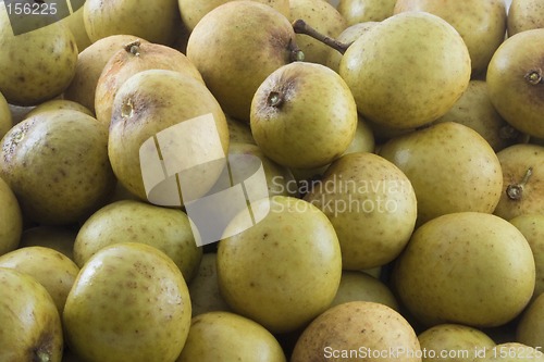 Image of Longan