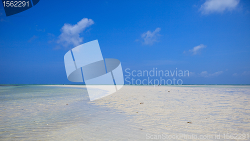 Image of Tropical beach