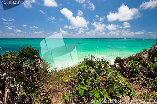 Image of Caribbean sea