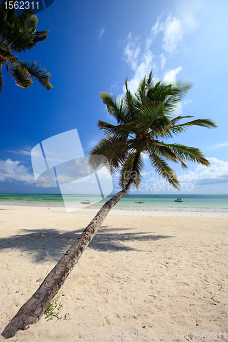 Image of Tropical beach