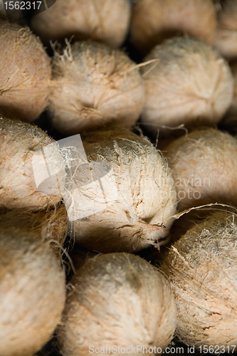 Image of Coconuts