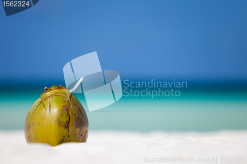 Image of Coconut