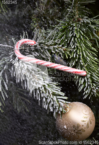 Image of Christmas decoration