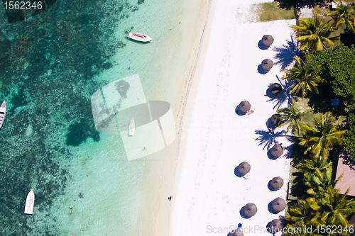 Image of Tropical beach