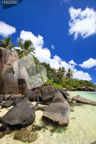 Image of Beautiful rocky coast in Seychelles