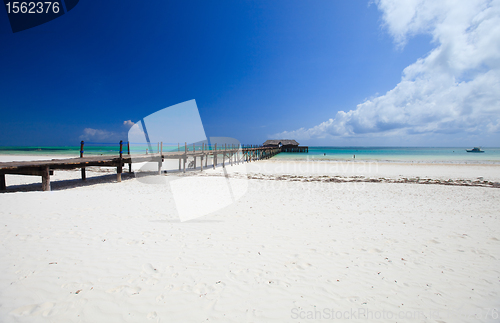 Image of Tropical beach