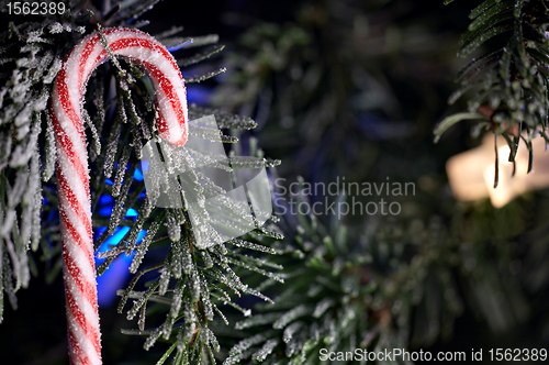 Image of Christmas decoration