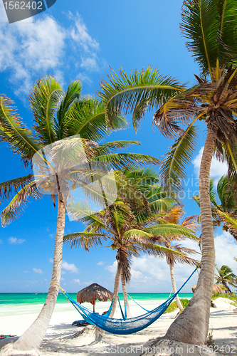 Image of Beautiful Caribbean beach