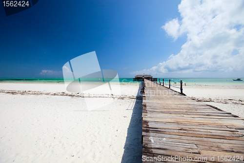 Image of Tropical beach