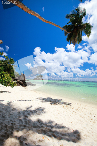 Image of Idyllic tropical beach