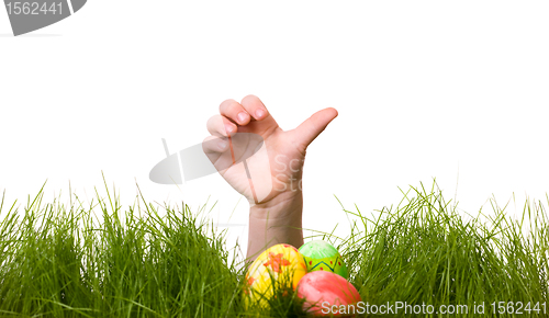 Image of Easter egg hunt