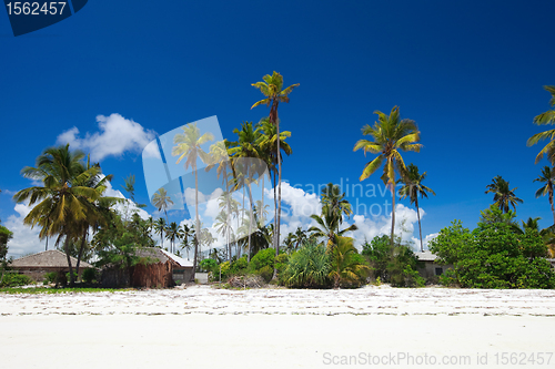 Image of Tropical beach