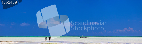 Image of Panorama of exotic coast in Zanzibar