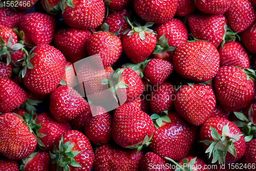 Image of Fresh strawberries