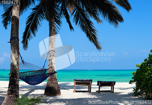 Image of Perfect tropical beach