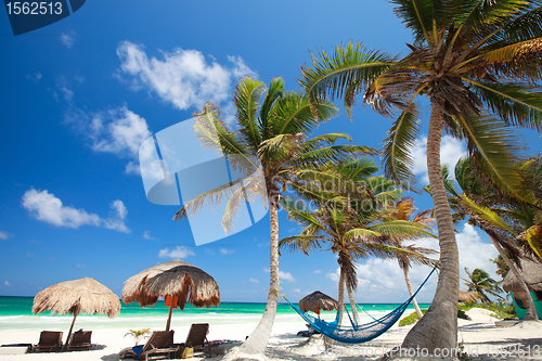 Image of Beautiful Caribbean beach