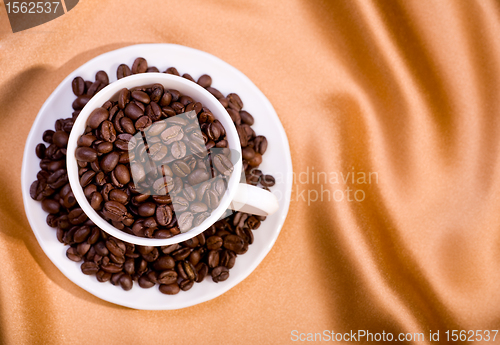 Image of Coffee beans