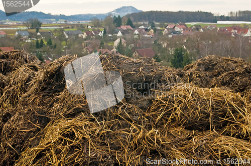 Image of dung hill