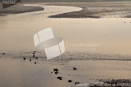 Image of  lake in morning sun