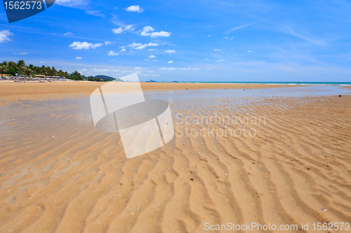 Image of Low tide on golden sand beach