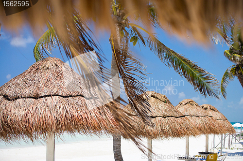 Image of Beach umbrellas