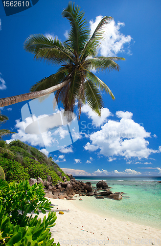 Image of Stunning beach in Seychelles