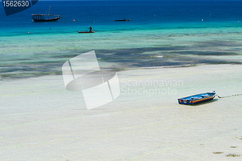 Image of Tropical beach