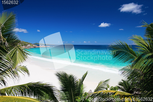 Image of Idyllic beach in Seychelles