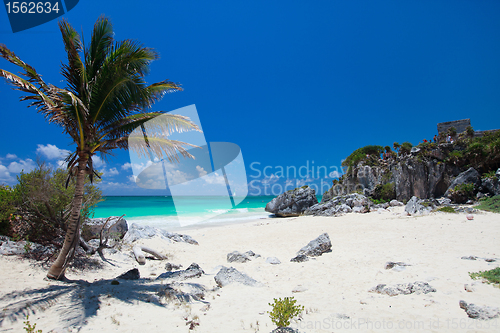 Image of Caribbean beach