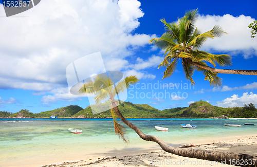 Image of Perfect beach in Seychelles