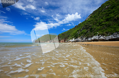 Image of Tropical beach