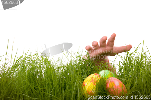 Image of Easter egg hunt